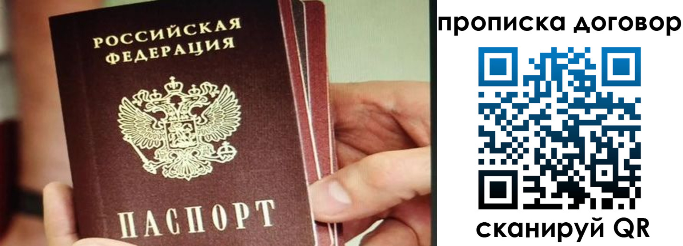 прописка в Заозёрске